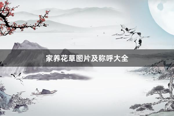 家养花草图片及称呼大全